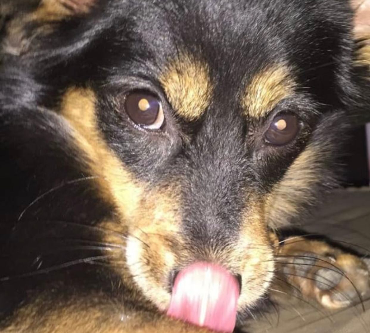 About Power Of Now Oasis 1