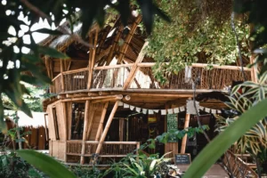 Power of Now Oasis: Yoga by the Sea, Under the Sun, On the Sands… 1