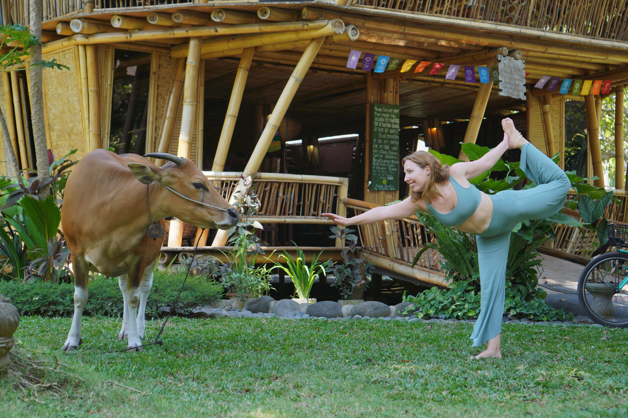 Yoga student practicing dancer pose in front of Angelique the cow at the bamboo shala of Power of Now Oasis, Sanur, Bali