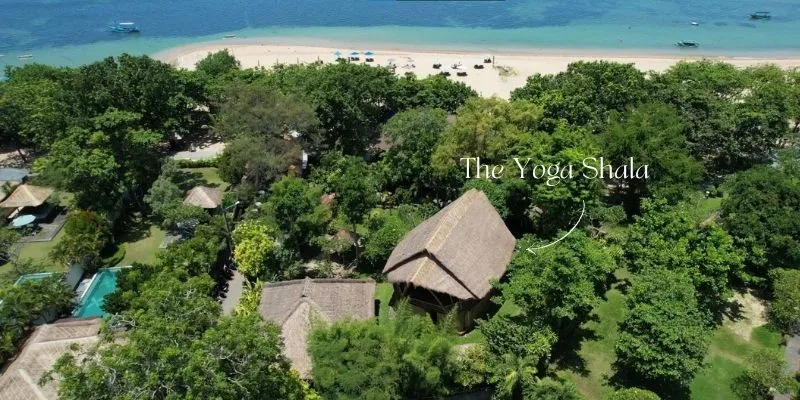 Aerial view of the open‑air bamboo yoga shala at Power of Now Oasis surrounded by tropical greenery, located just steps from Sanur Beach in Bali