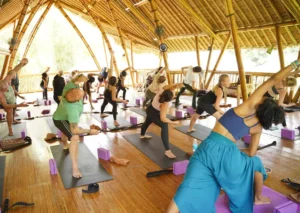 Group of yoga students in an open-air bamboo shala using blocks during a Power of Now Oasis yoga class in Sanur
