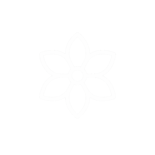 Yoga Teacher Training 3